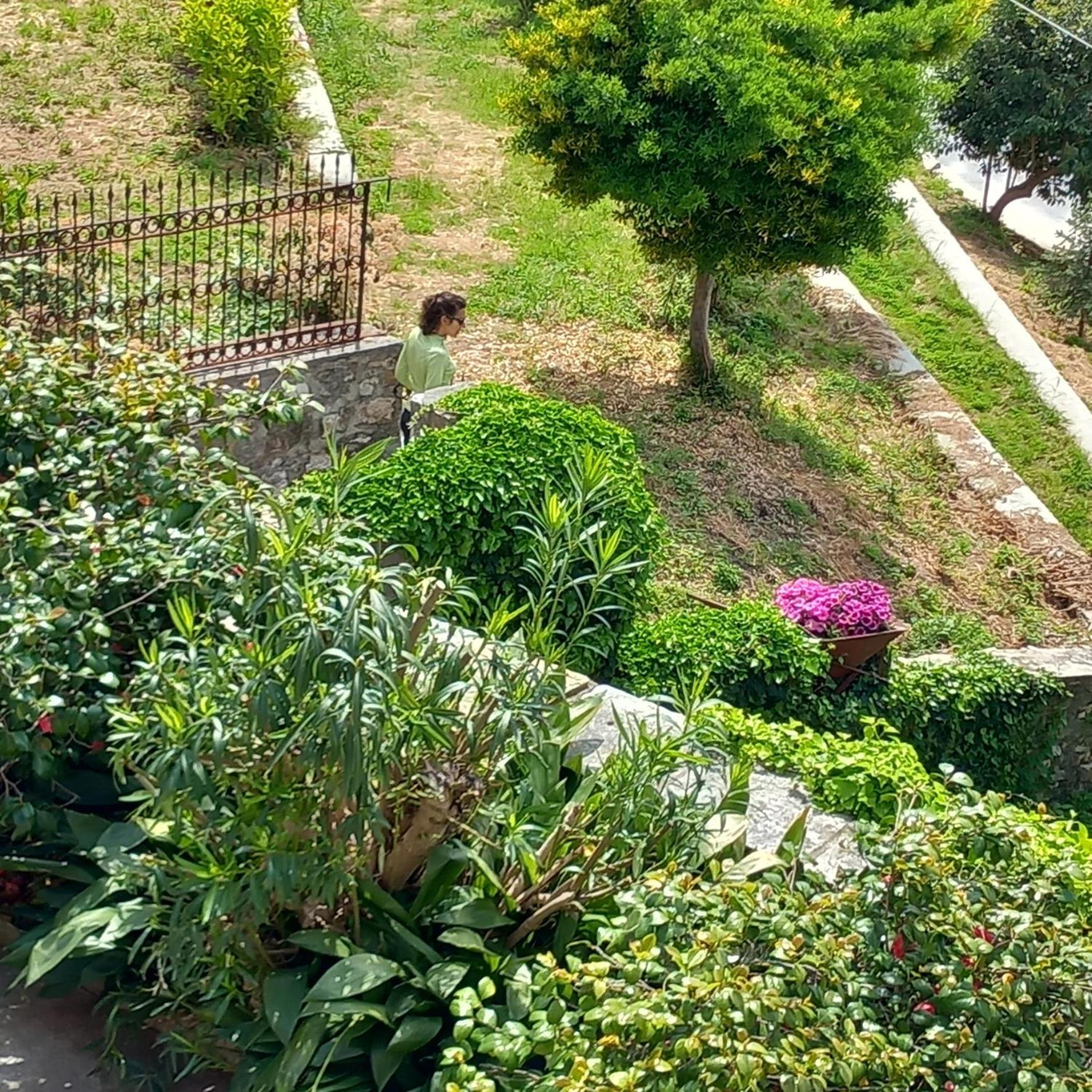 Milies Historic Pelion * Mileai