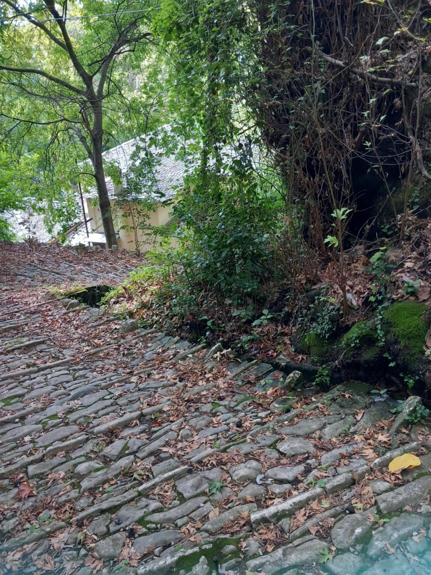 Milies Historic Pelion Mileai